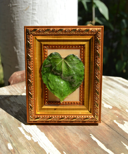 Framed A. King of Spades (HU)