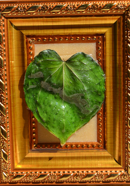 Framed A. King of Spades (HU)