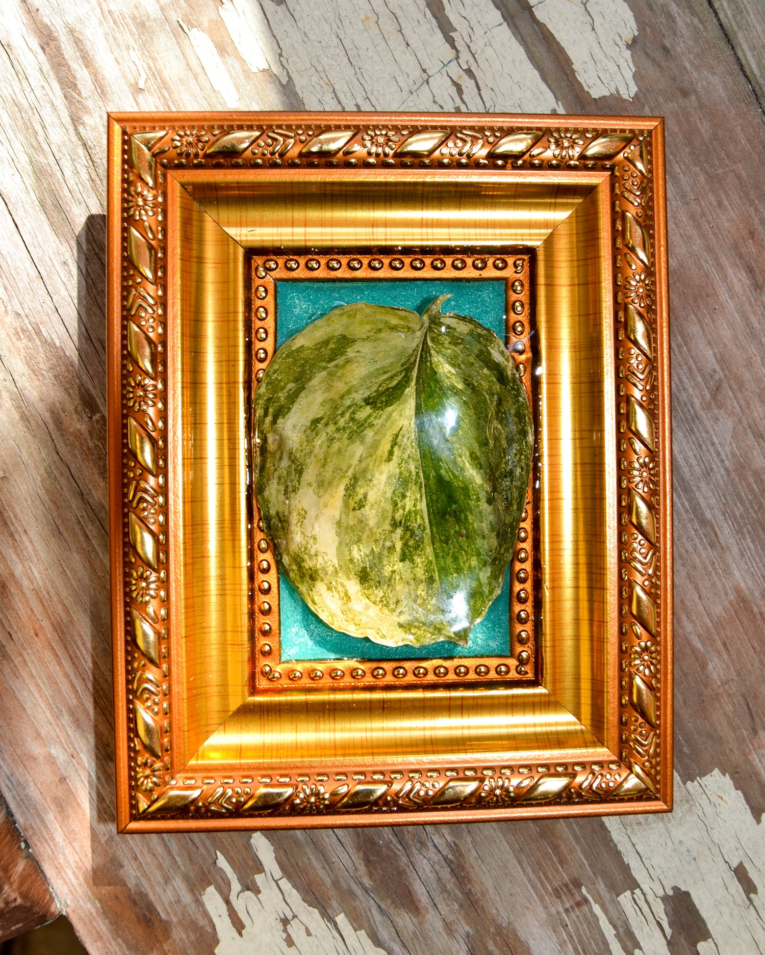 Framed S. Rajatapura