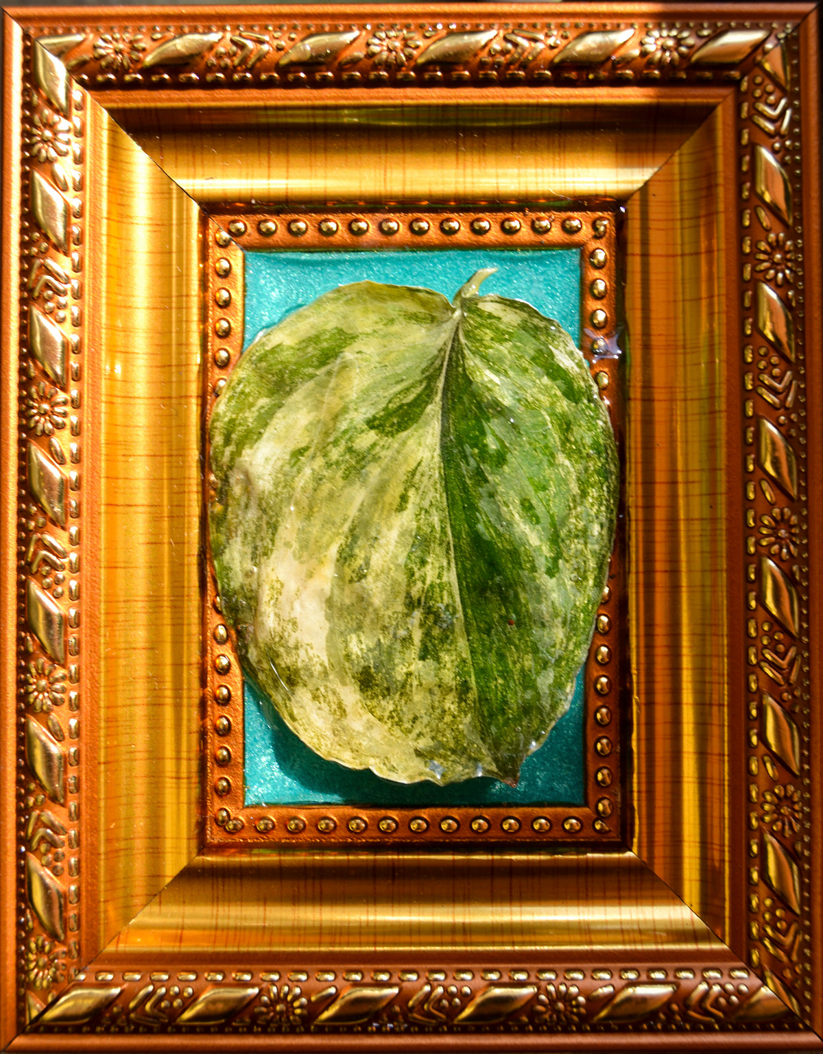 Framed S. Rajatapura