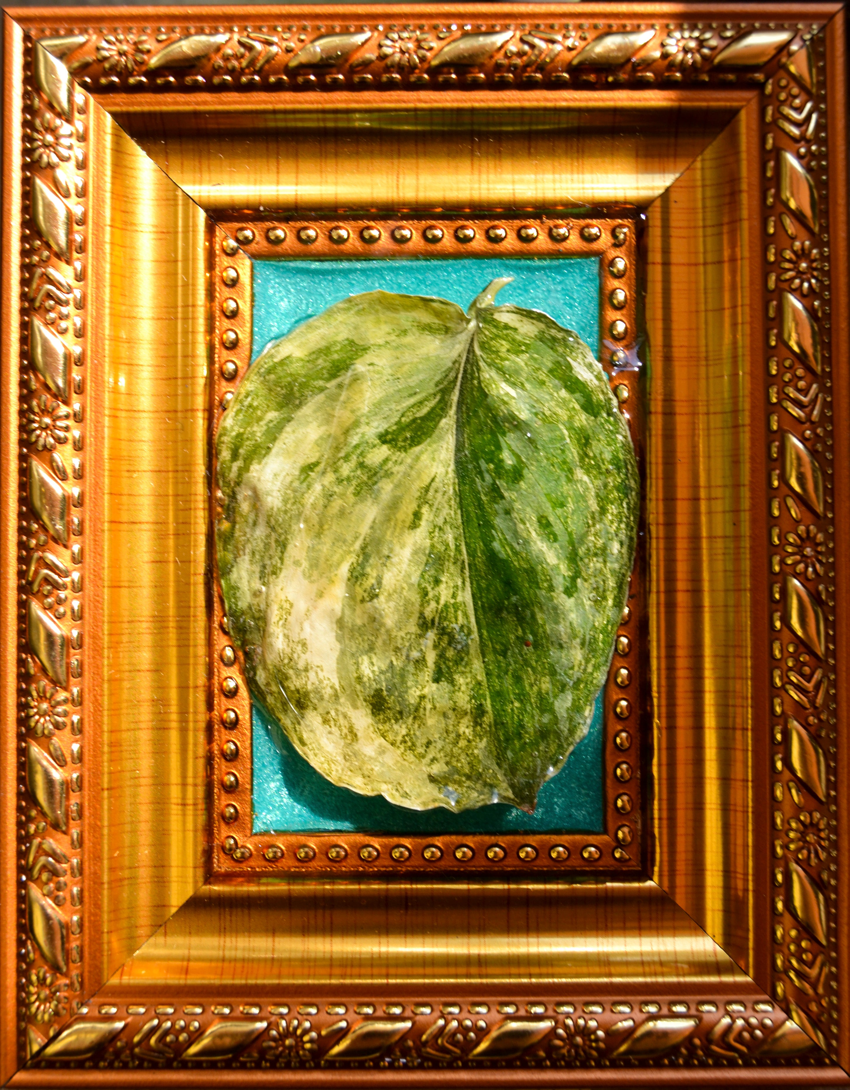 Framed S. Rajatapura
