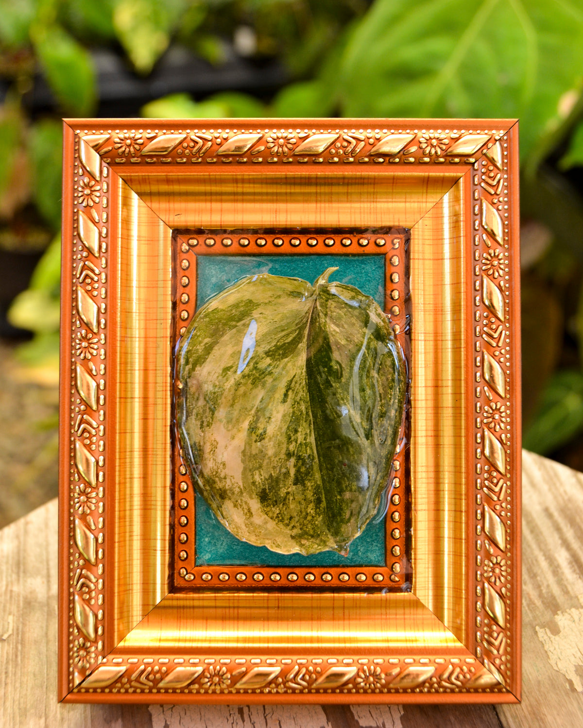 Framed S. Rajatapura