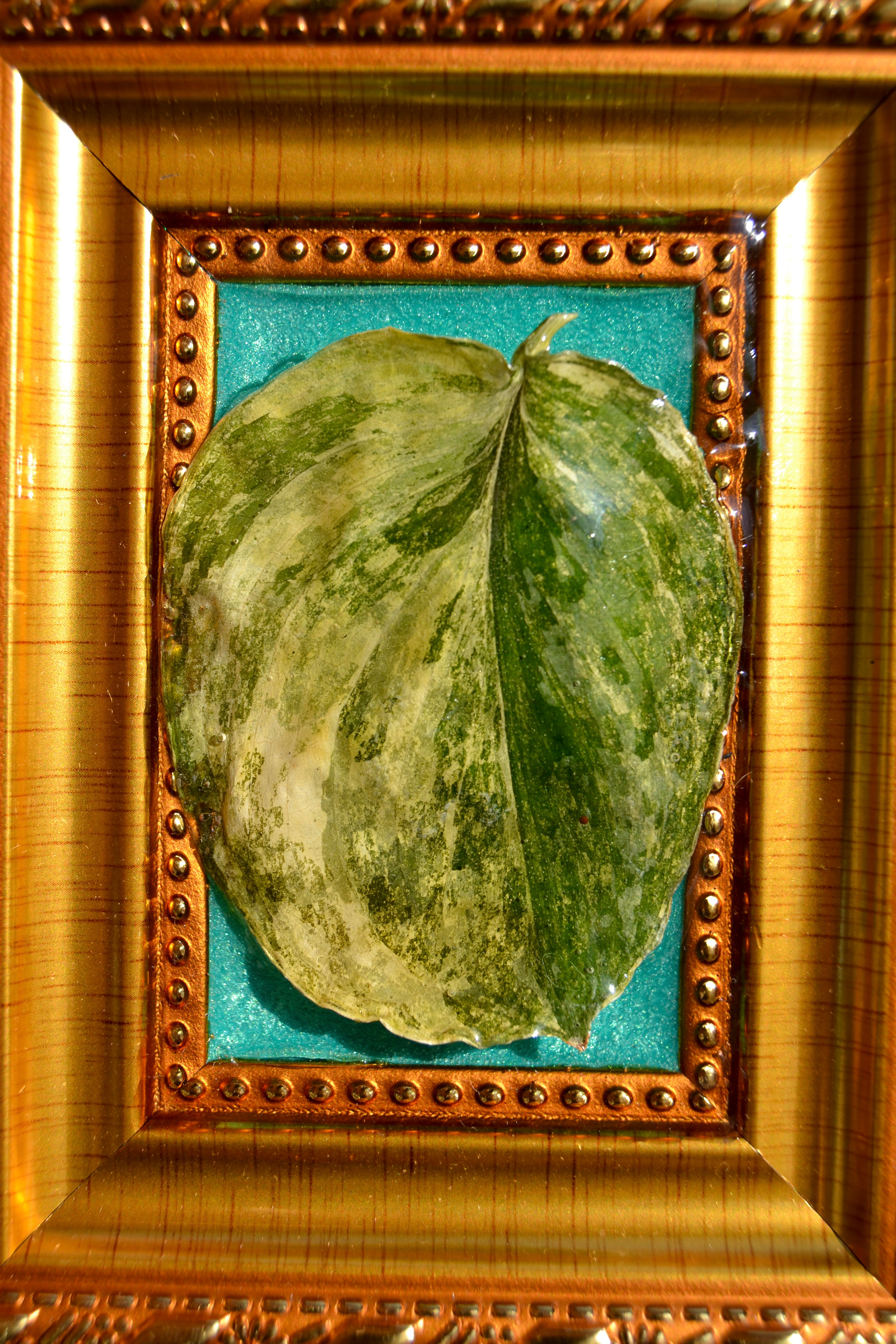 Framed S. Rajatapura