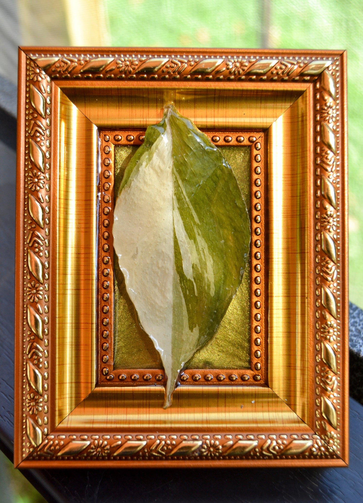 Framed S. Exotica Albo