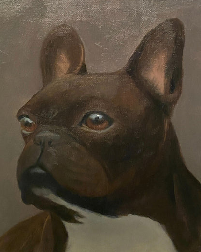 Commissioned Pet Portrait Oil Painting