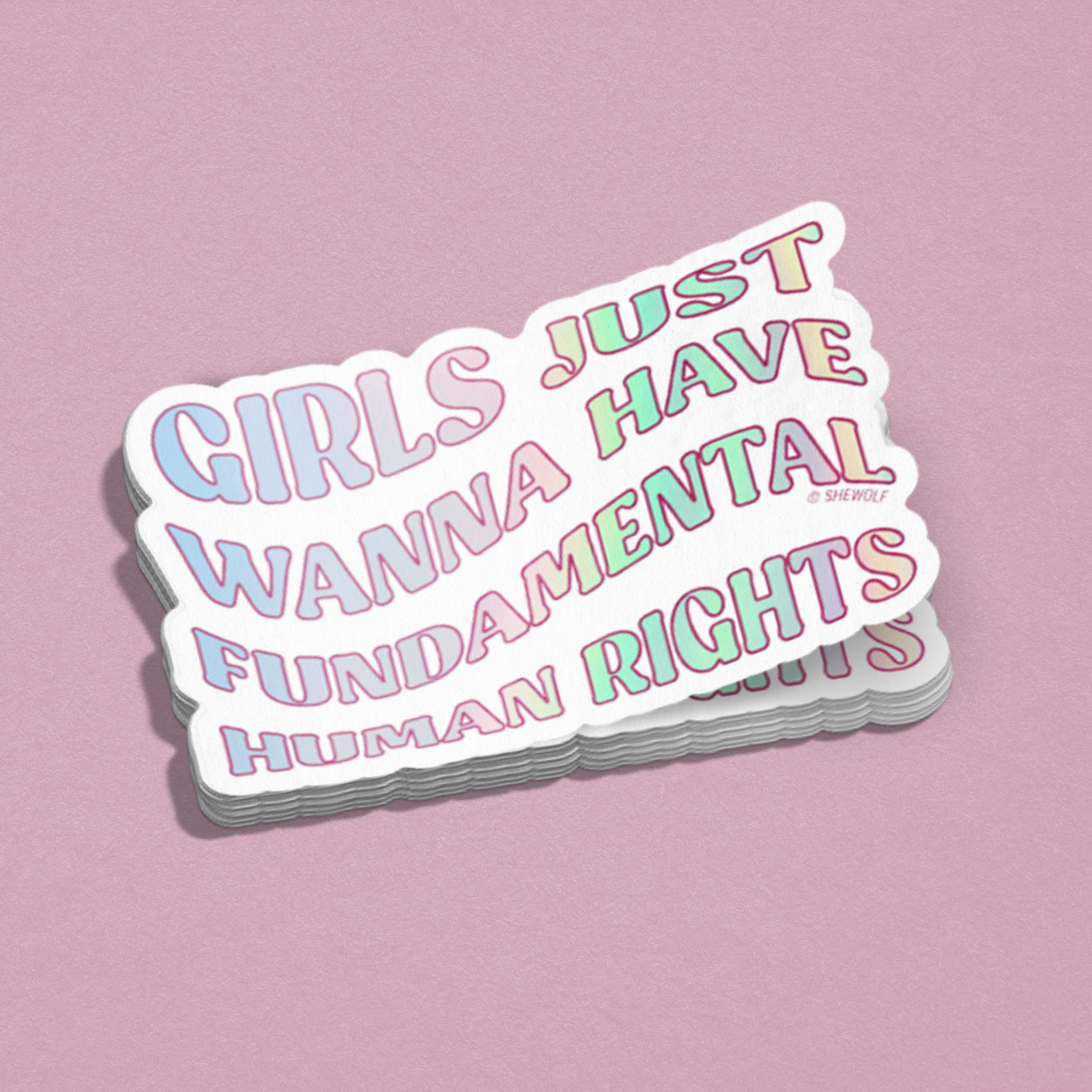 Girls just wanna have fundamental human rights sticker