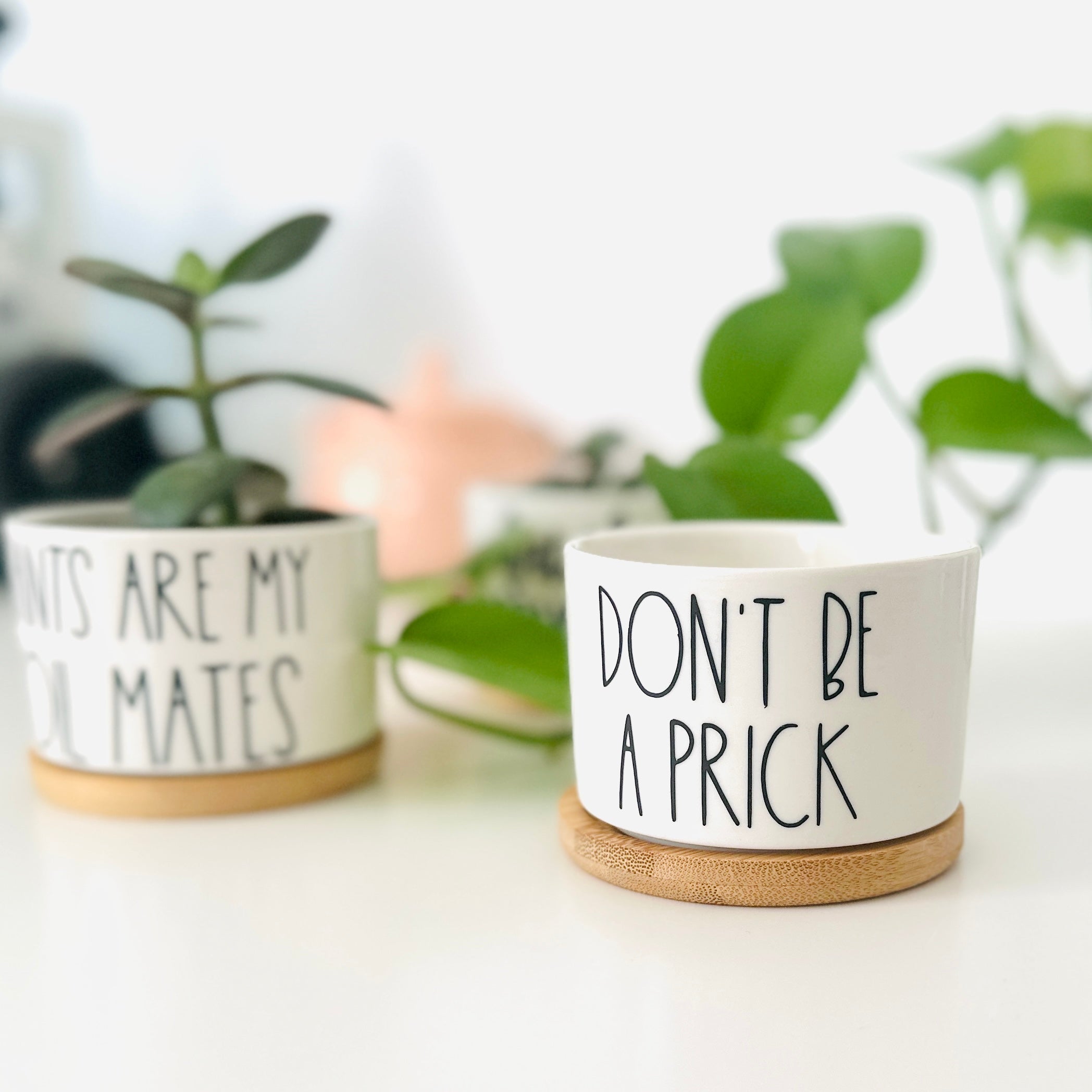 Funny, Cute and Sarcastic Mini Planters, Indoor Succulent Planters