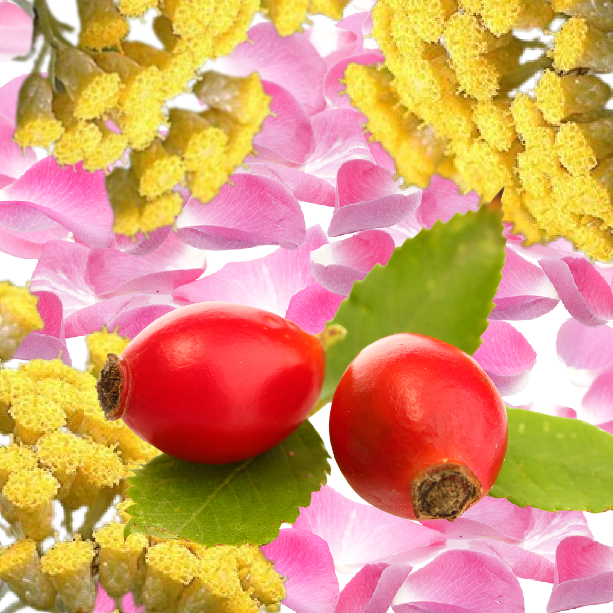 GLOWING ROSE Featherlight Face Serum with Rose &amp; Immortelle