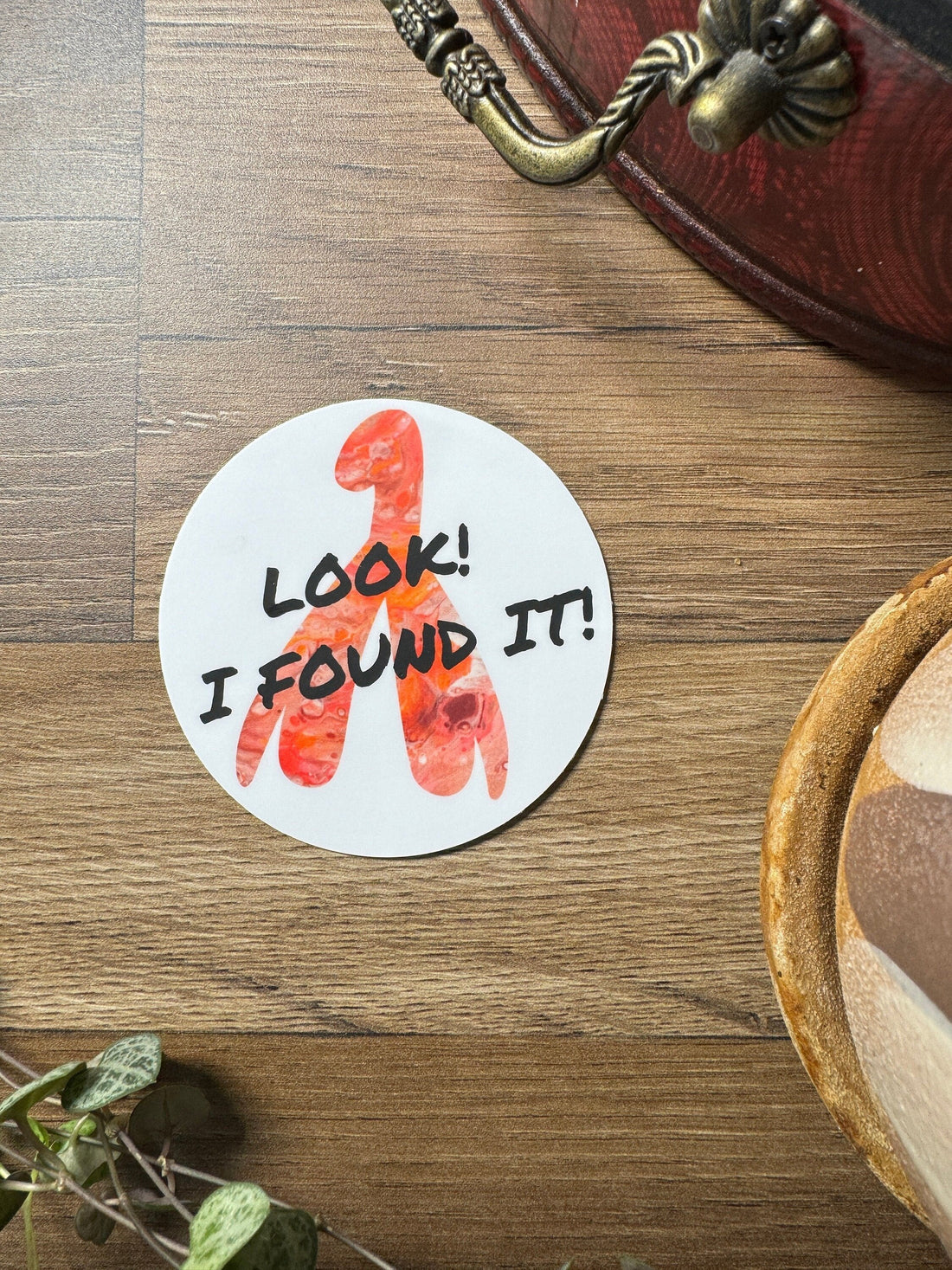 Look I Found It! - 3" Waterproof, Vinyl Sticker - Clitoris internal structure