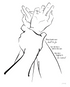 Black and white line art illustration "I Got You," of two hands clasped together. The text reads "These hands were built to fix but she has a look in her eyes like she&