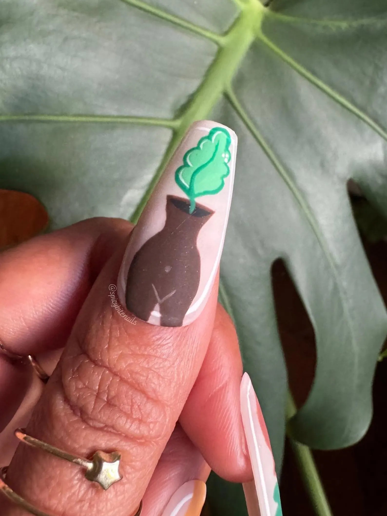 Rooted in Melanin - Black and Brown Women Plant Inspired False Press-On Nail Extensions 10pcs