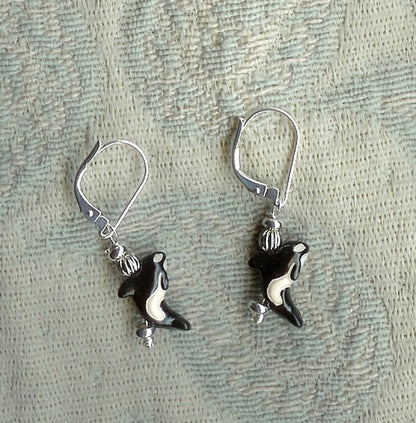 Hand Painted Killer Whale Earrings displayed on sterling silver lever backs, a charming ocean themed gift for anyone who loves whales.