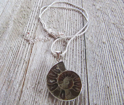 Beautiful Ammonite Fossil Necklace Pendant - Unique Earth Healing Jewelry Gift for Science Lovers