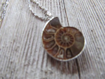 Beautiful Ammonite Fossil Necklace Pendant - Unique Earth Healing Jewelry Gift for Science Lovers