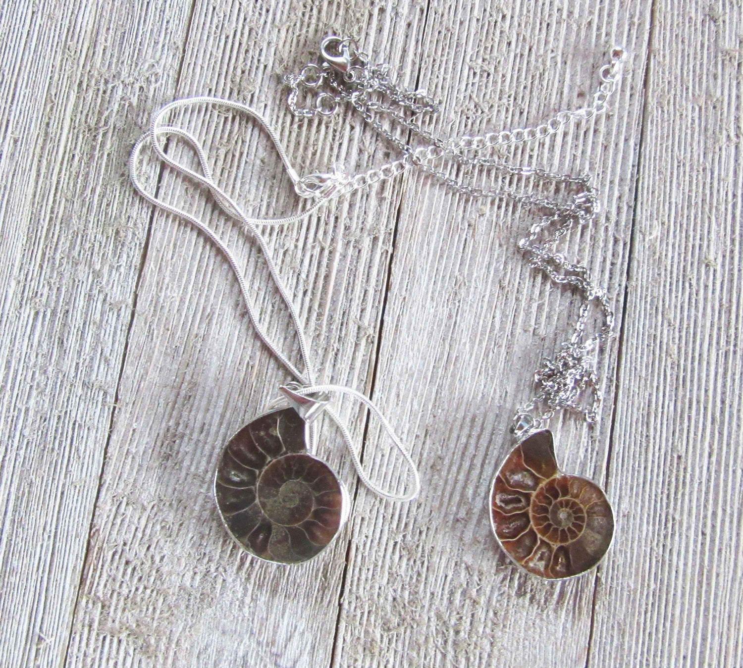 Beautiful Ammonite Fossil Necklace Pendant - Unique Earth Healing Jewelry Gift for Science Lovers
