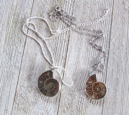 Beautiful Ammonite Fossil Necklace Pendant - Unique Earth Healing Jewelry Gift for Science Lovers