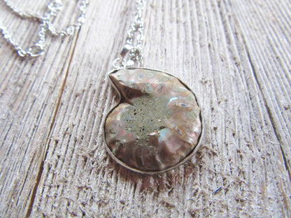 Beautiful Ammonite Fossil Necklace Pendant - Unique Earth Healing Jewelry Gift for Science Lovers