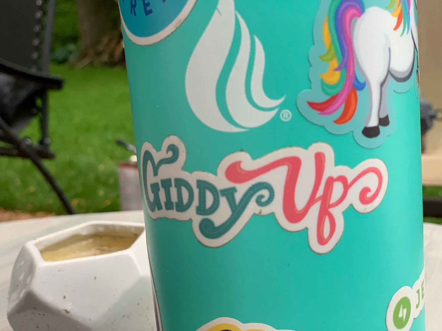 Giddy Up Sticker | Hand-Illustrated Western Vinyl Decal (Laptop, Water Bottle)