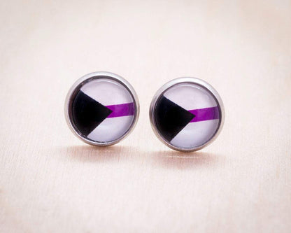 lgbtq demisexual pride earrings