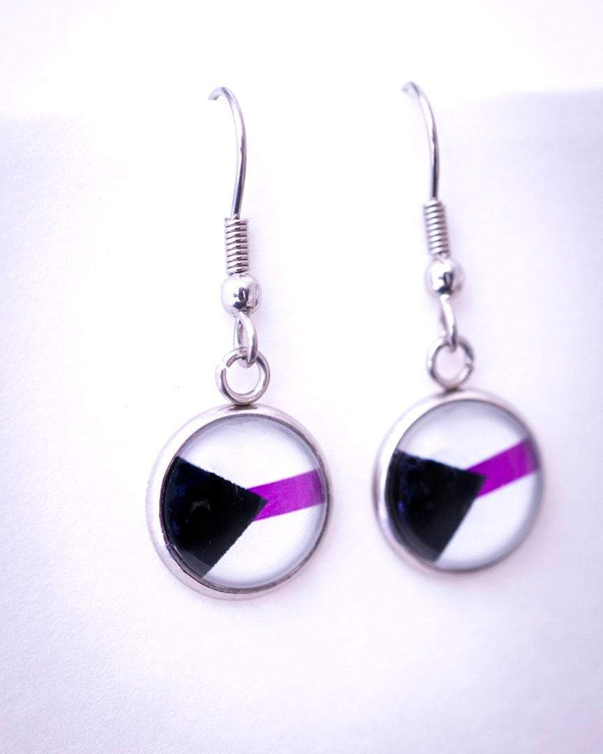 demisexual pride flag earrings