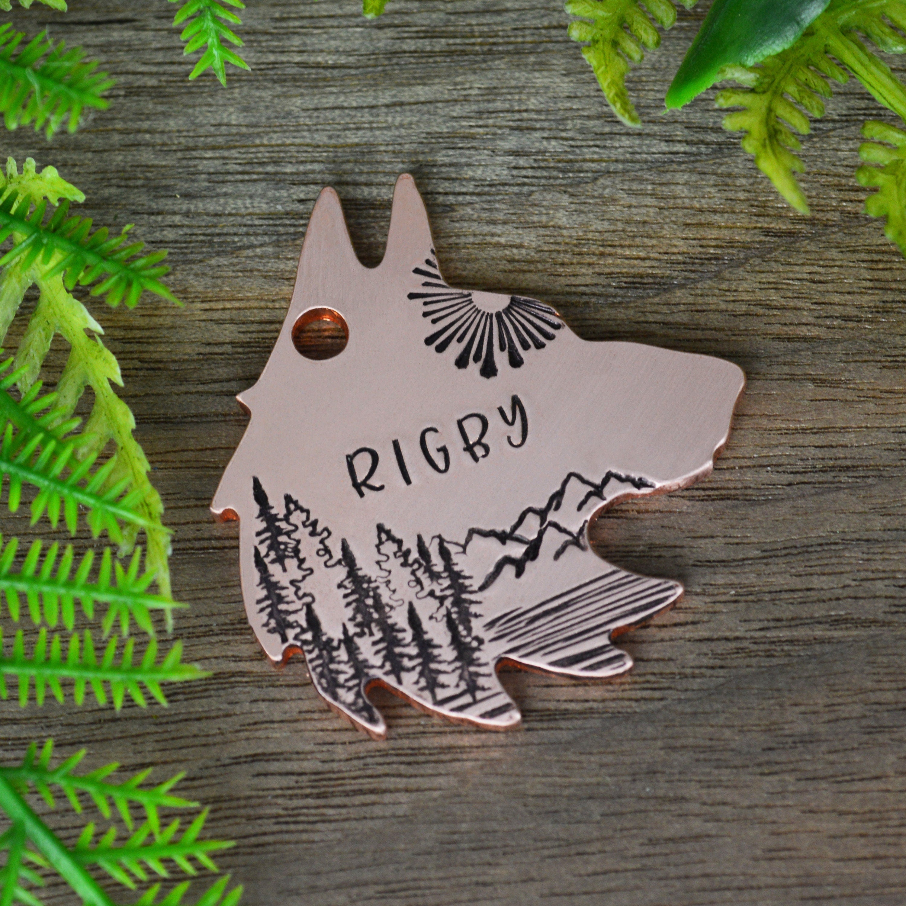 Sunshine over the Range Handstamped Pet ID Tag 
