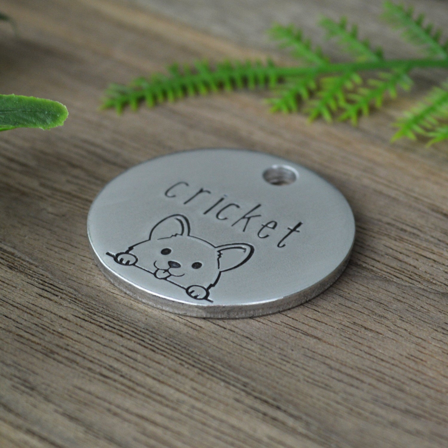 Peek-a-Boo Pup Dog Tag 