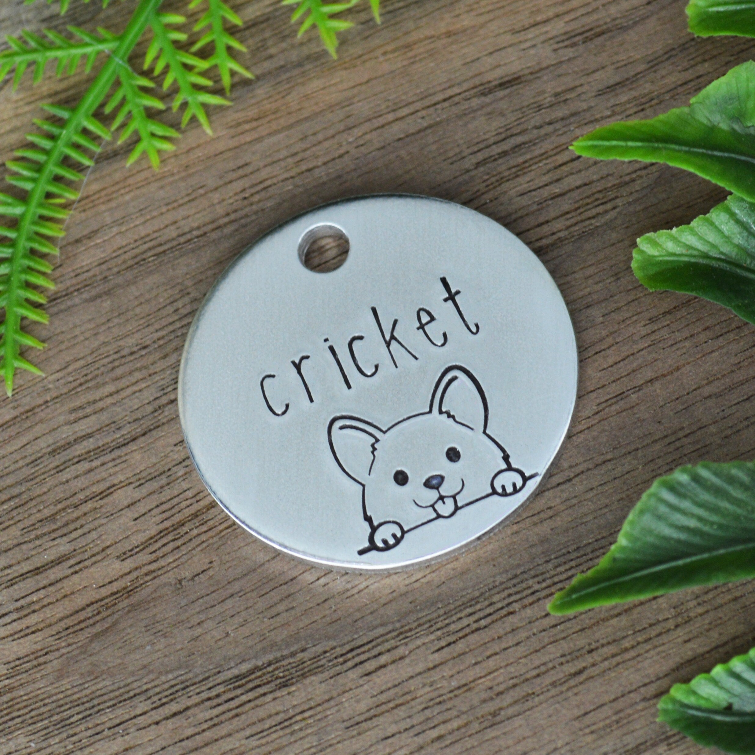Peek-a-Boo Pup Dog Tag 
