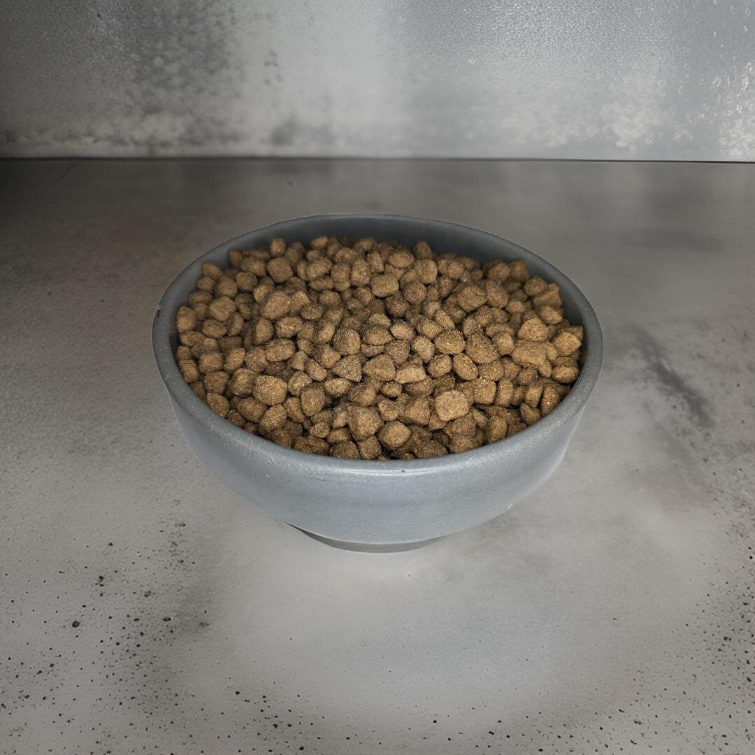 Concrete Shallow Bowl – Minimalist &amp; Multi-Purpose
