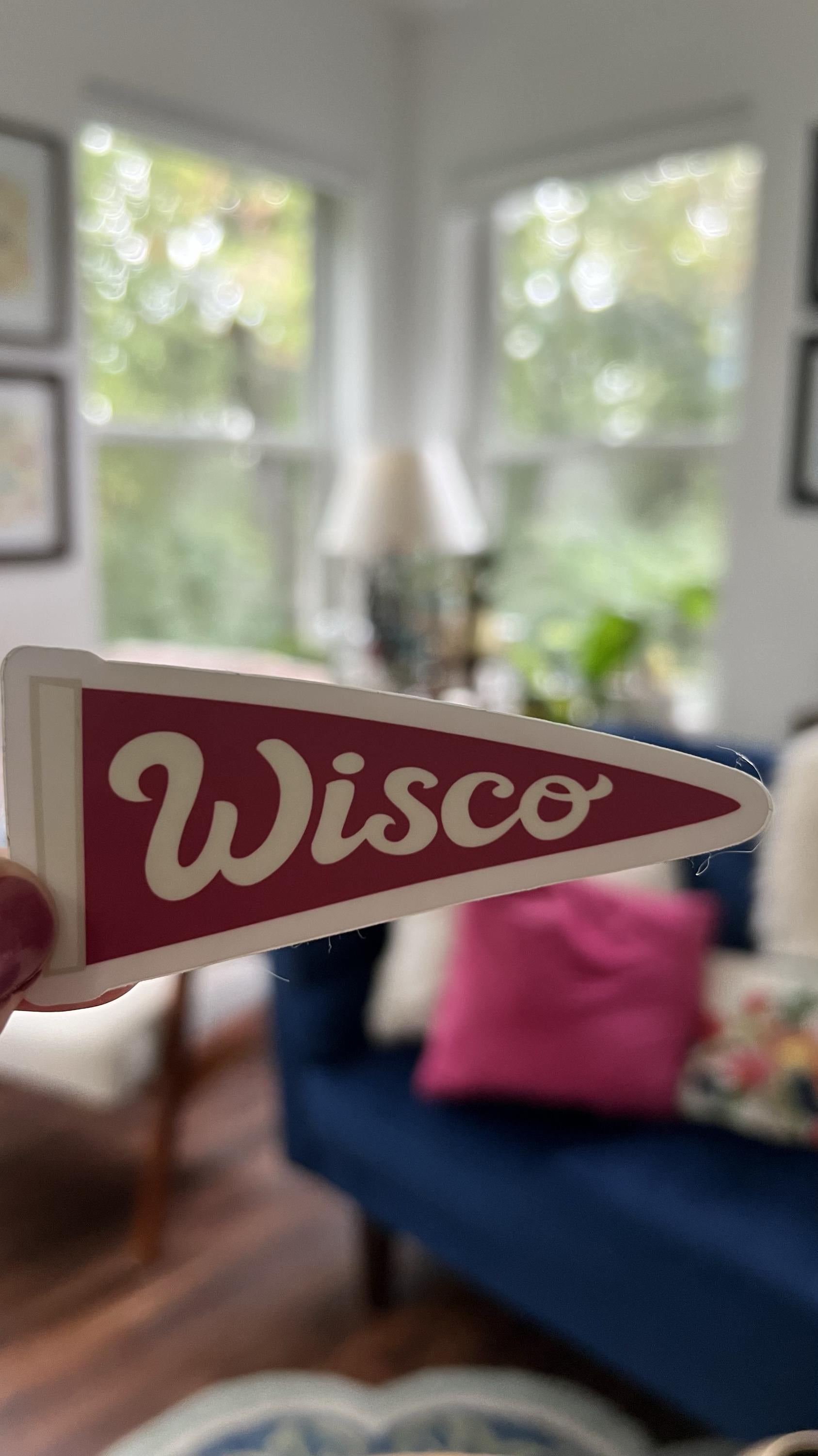 Wisco Pennant Sticker | Retro Wisconsin Pride Vinyl Decal | Laptop Water Bottle Accessory