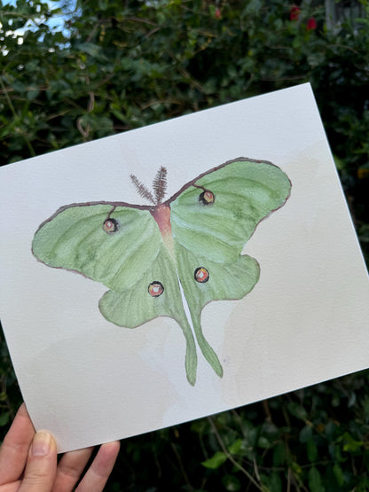 Luna Moth Art Print: Hand-Painted Watercolor Illustration