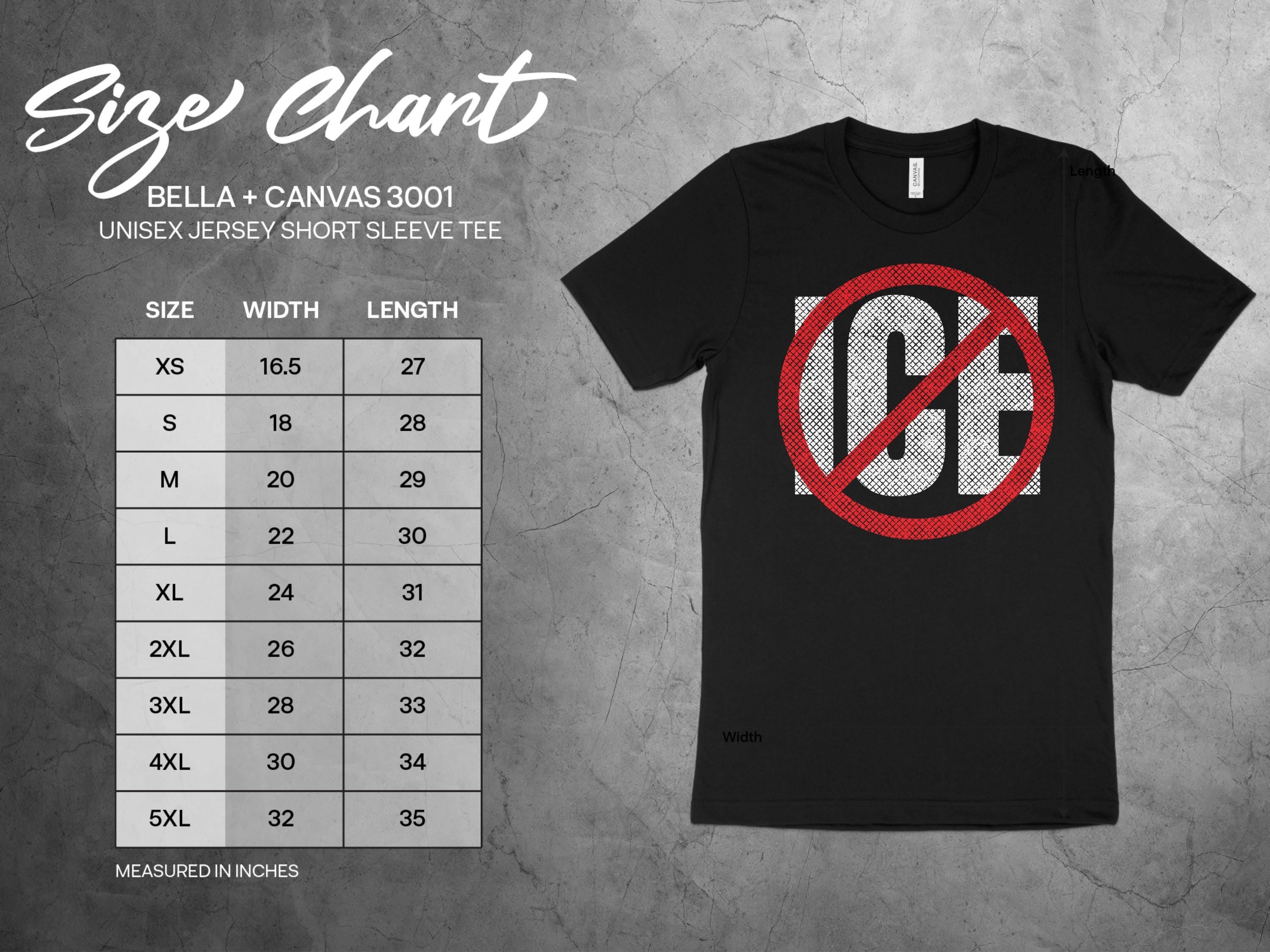 Abolish ICE T-Shirt, Chinga la Migra Tee, Equality Progressive Shirt, Socialism T-Shirt, Abolish Borders Tee, Pro-immigration Shirt