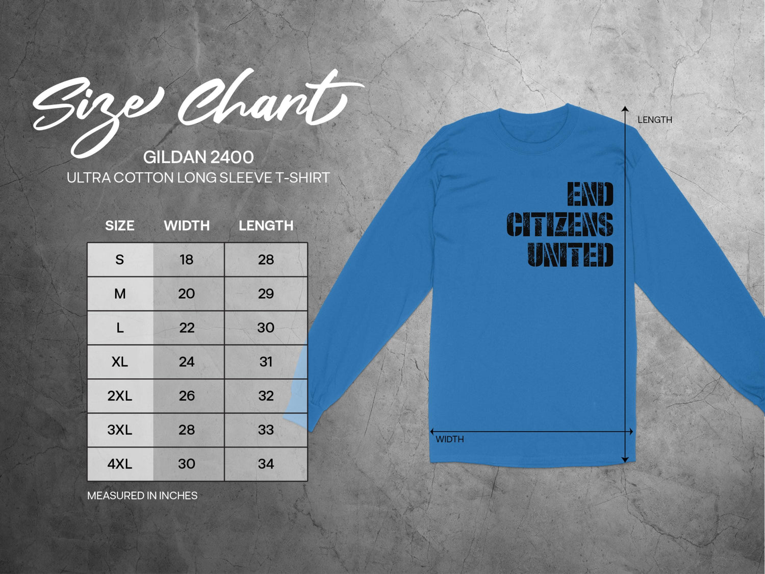 End Citizens United T-Shirt, Protest Tee, Bernie AOC Rally, Anti Trump Shirt, Hate Elon, Resist, Resistance, Fight Oligarchy, Pro Democracy