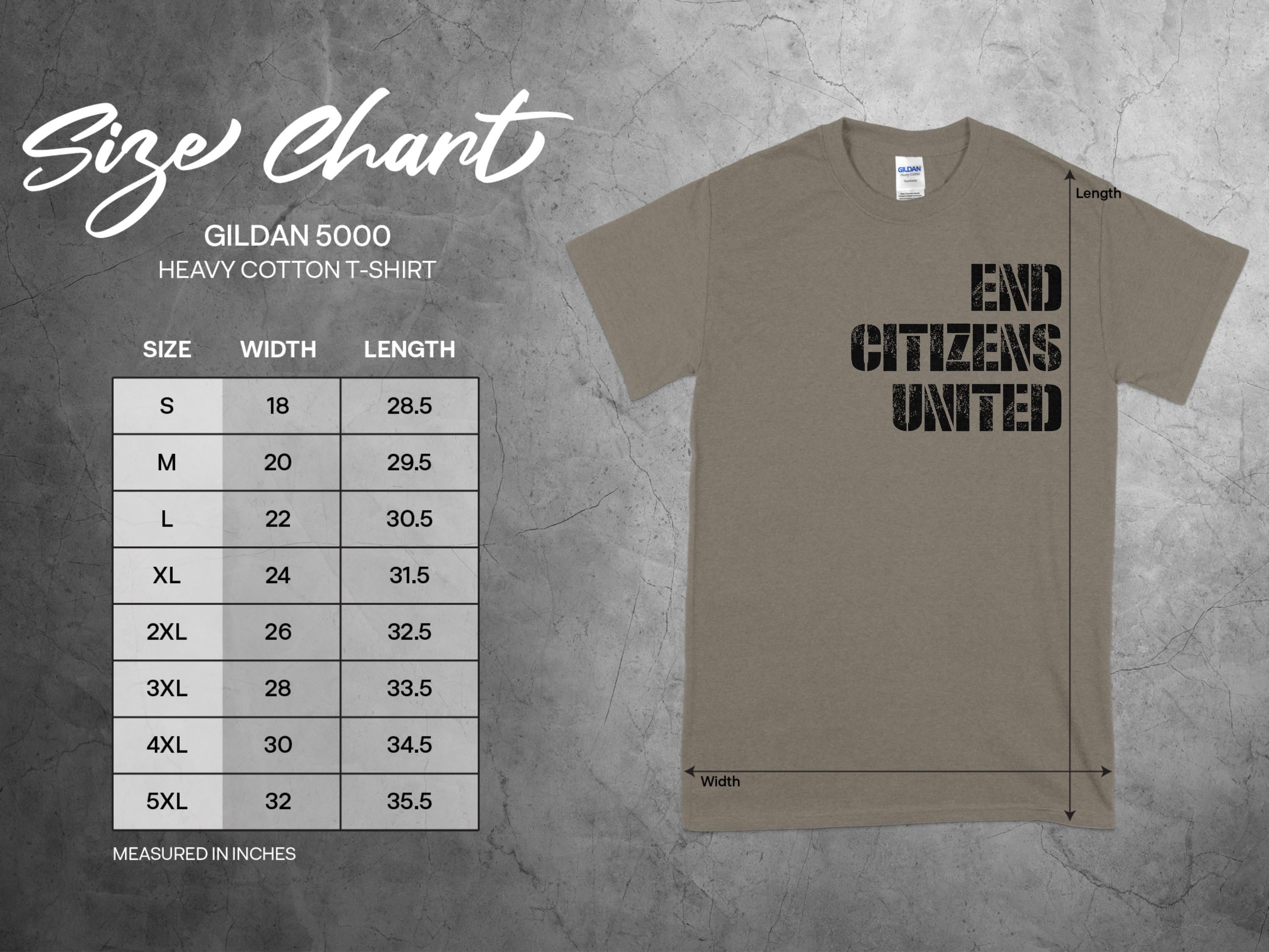 End Citizens United T-Shirt, Protest Tee, Bernie AOC Rally, Anti Trump Shirt, Hate Elon, Resist, Resistance, Fight Oligarchy, Pro Democracy
