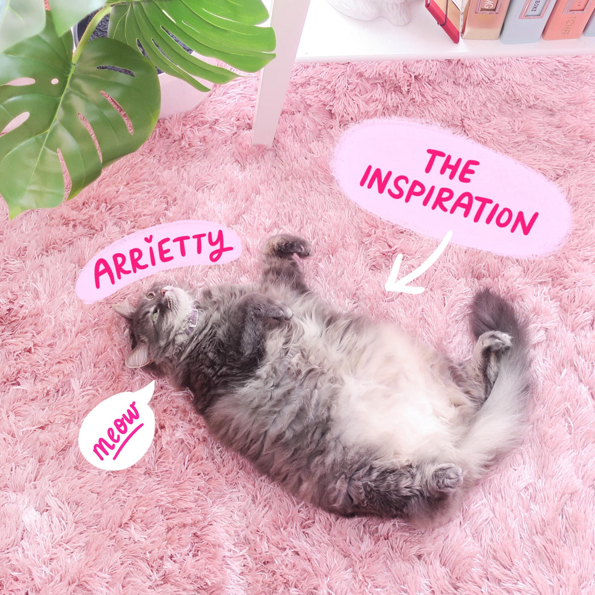 Grey maine coon cat sticker