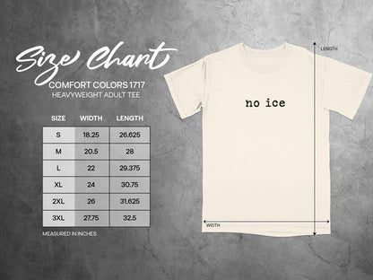 No ice graphic tee, comfort colors 1717, funny quote shirt, minimalist unisex tshirt, casual short sleeve top, gift for him or her