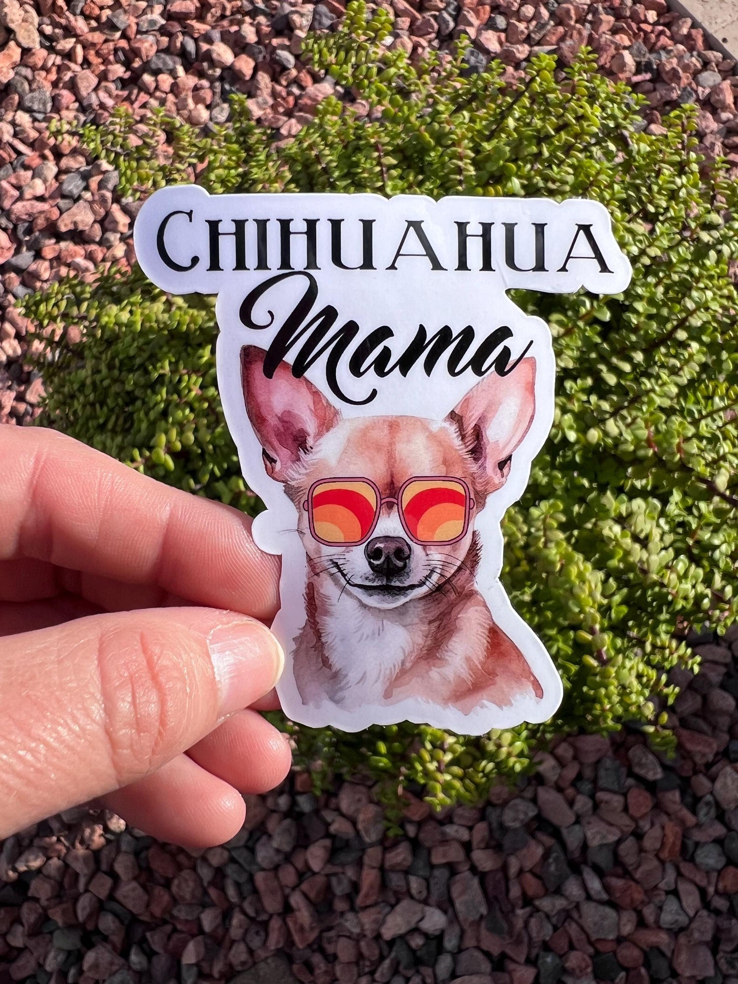 Chihuahua Mama Sticker, Funny Chihuahua Mom Decal, Small Dog Lover Gift, 3 Designs, 2 or 3 Inch, Clear or Holographic