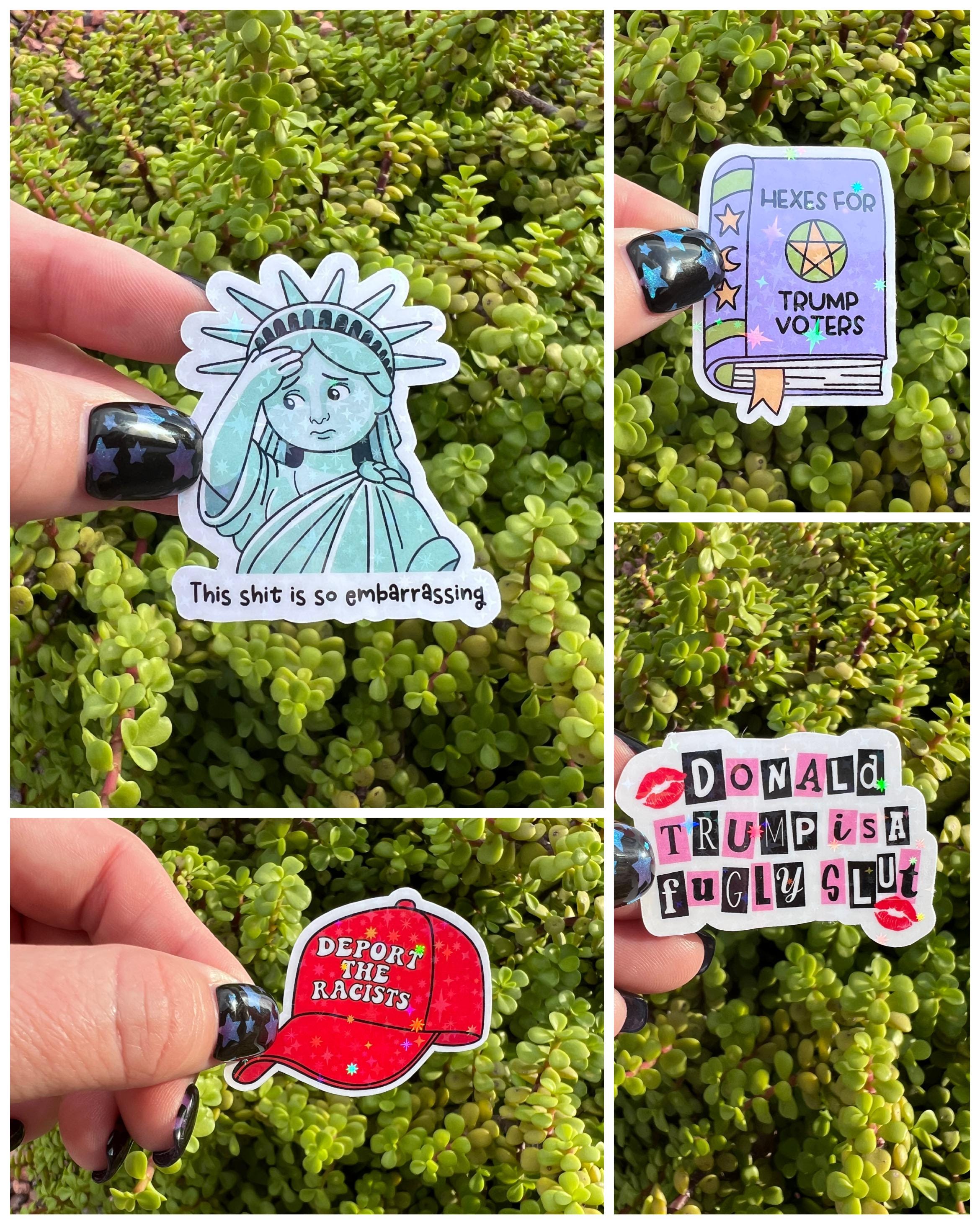 Anti Trump Sticker Bundle (14 stickers): Feminist, Liberal, Resist Decals