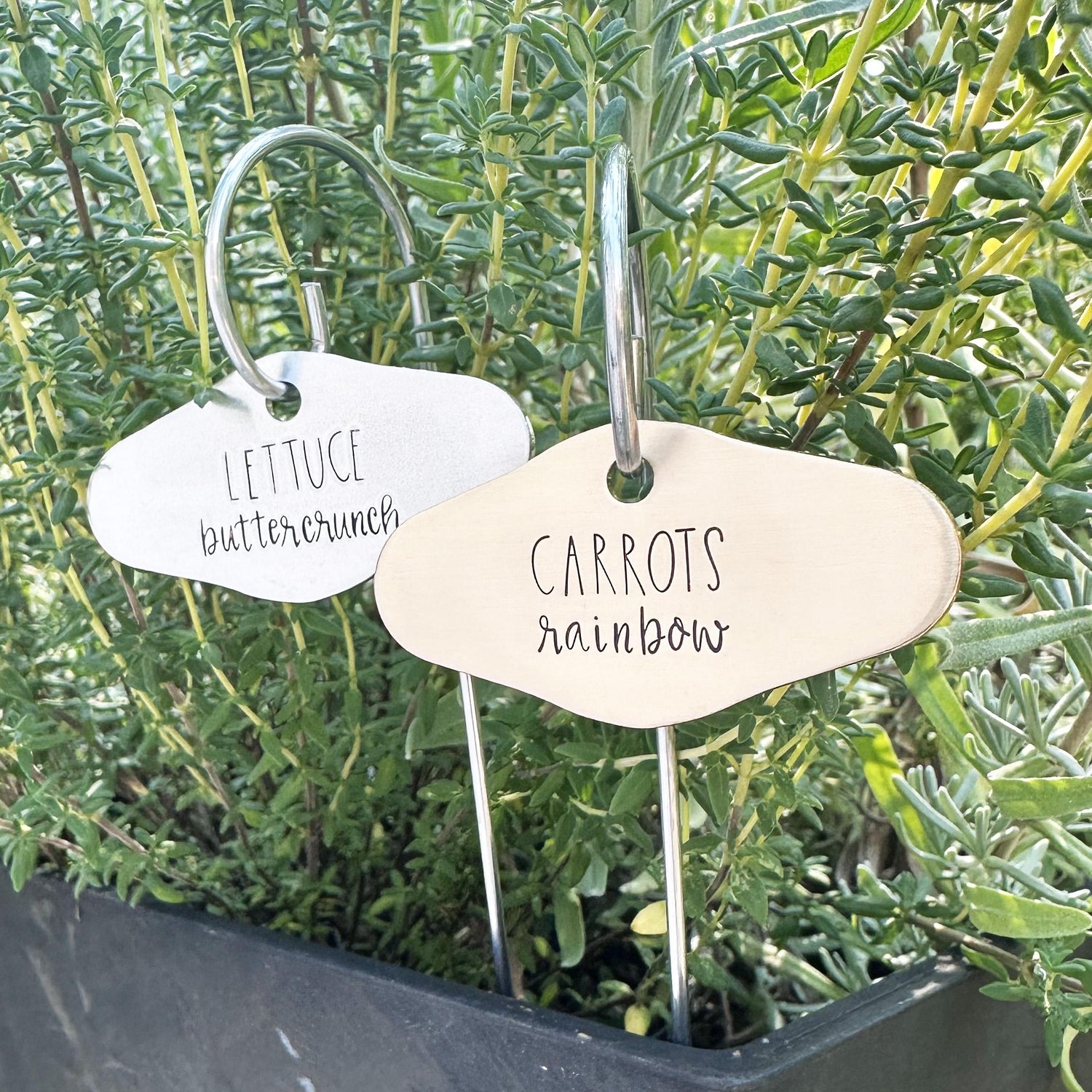 Custom Plant Marker &