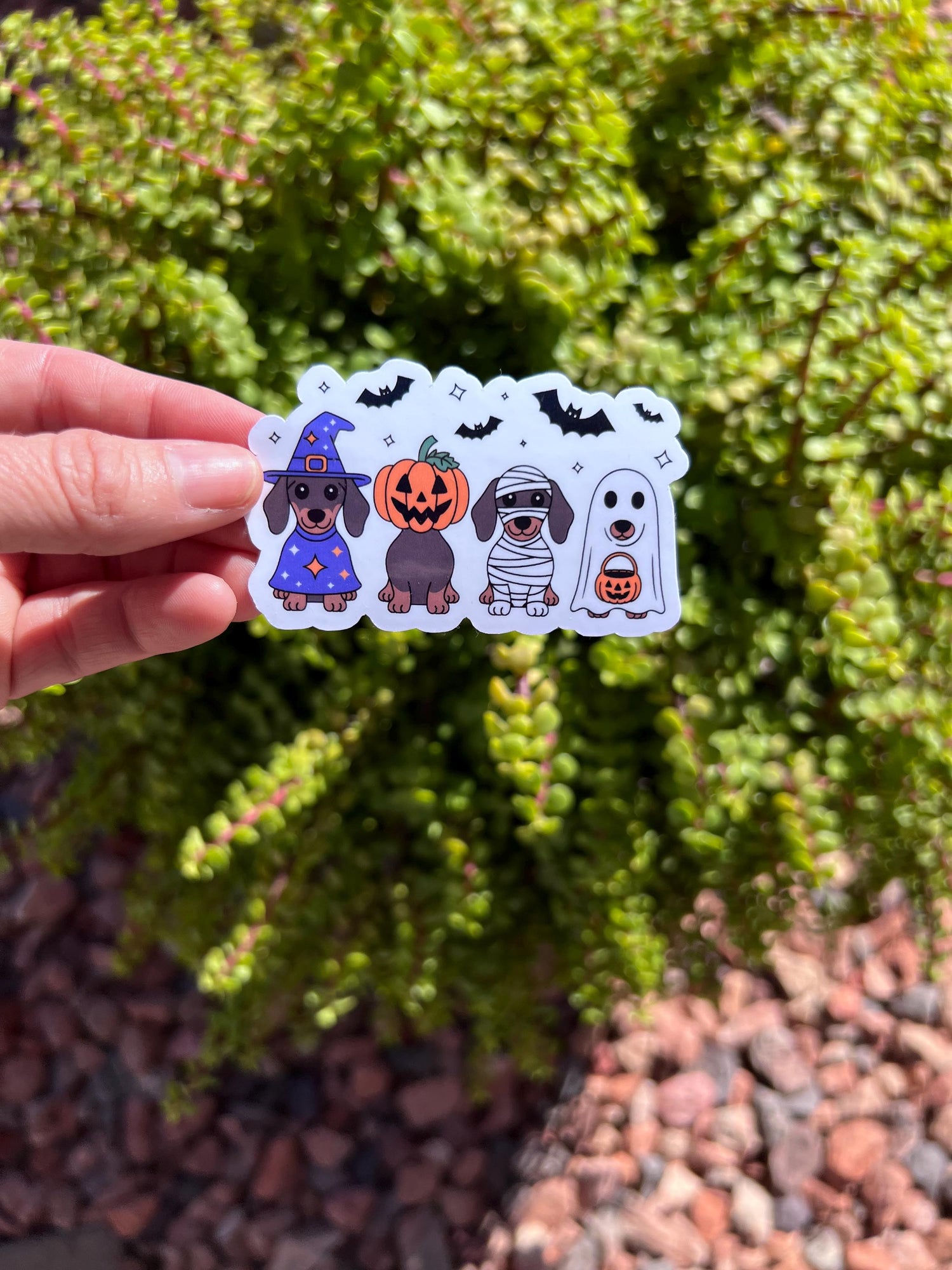 Cute Halloween Dachshund Sticker – Spooky Wiener Dog Decal, Fall Dog Mom Gift, Water-Resistant Vinyl (2&amp;quot; or 3&amp;quot;)