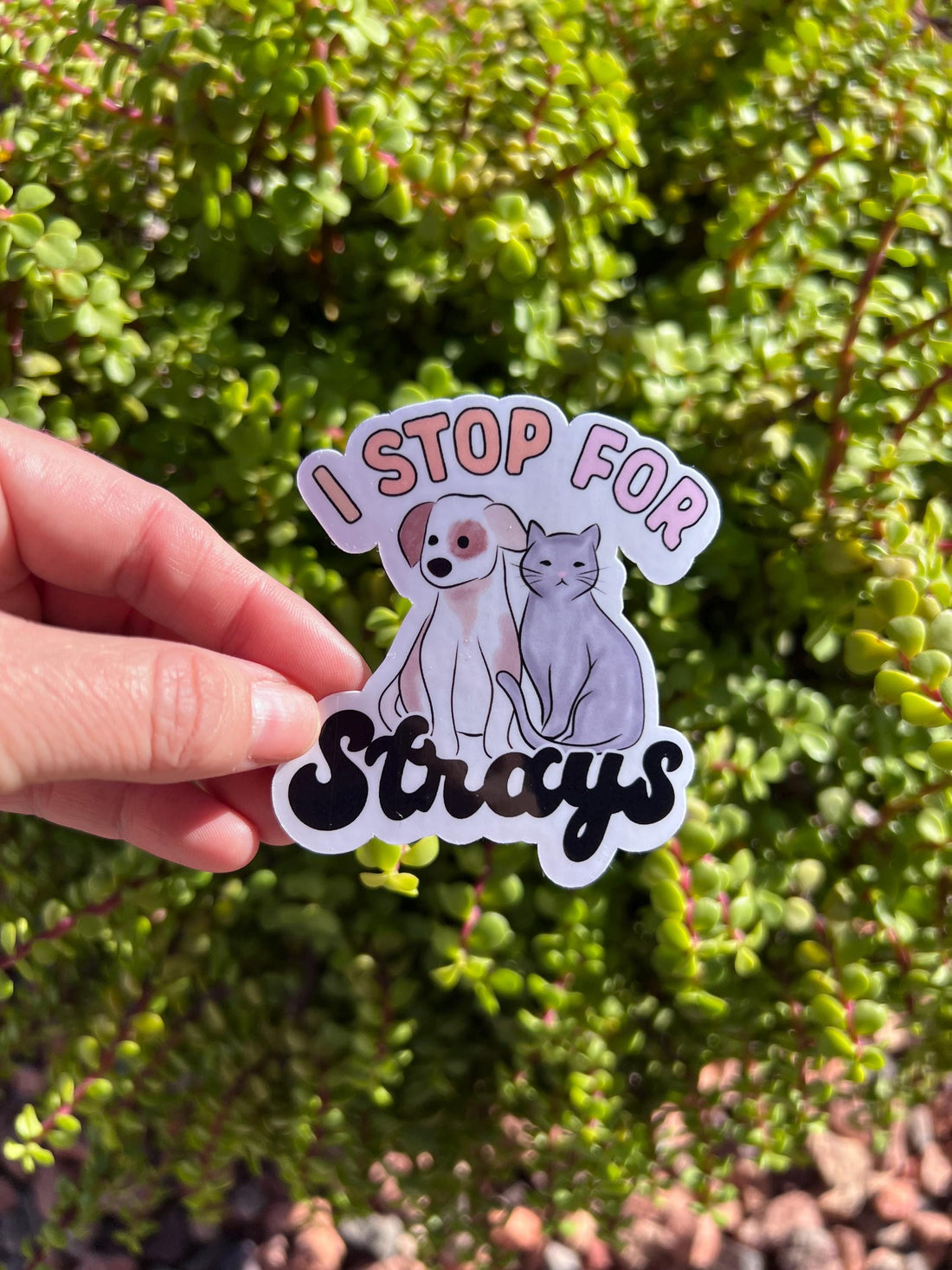 I Stop for Strays Sticker, Rescue Dog and Cat Decal, Animal Lover Gift, 2 or 3 Inch, Clear or Holographic