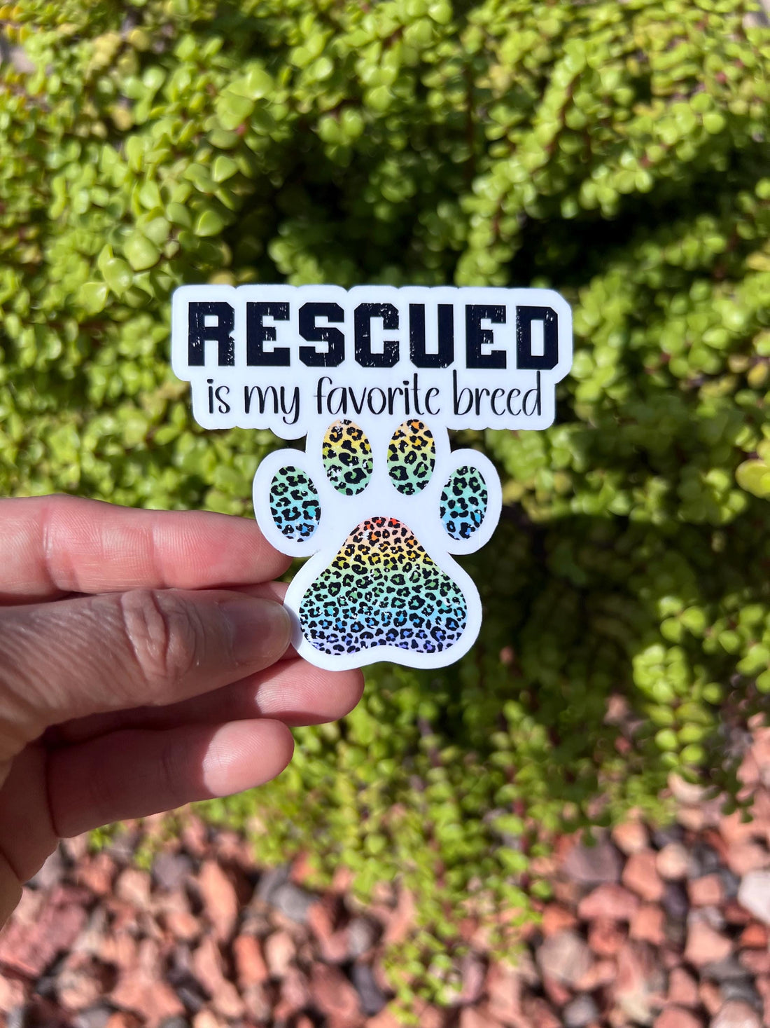 Rescued Is My Favorite Breed Sticker – Rainbow Leopard Paw Print, Dog Rescue Lover Gift, Water-Resistant Vinyl Sticker 3&amp;quot;