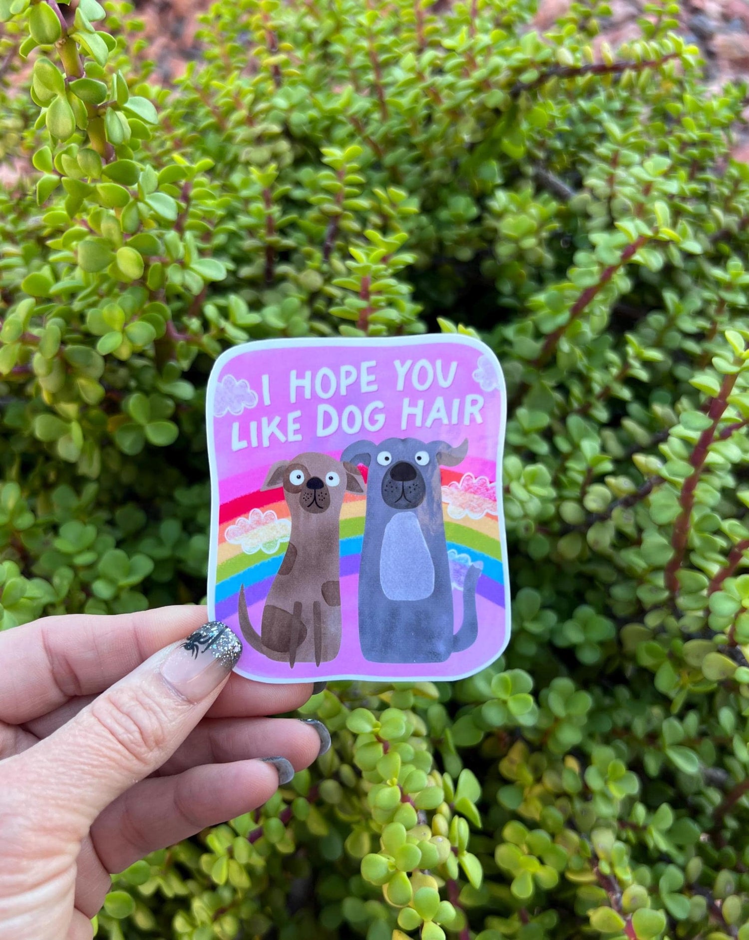I Hope You Like Dog Hair Sticker – Funny Dog Mom Gift, Rainbow Pet Lover Decal, Water-Resistant Vinyl Sticker, 2&amp;quot; or 3&amp;quot;