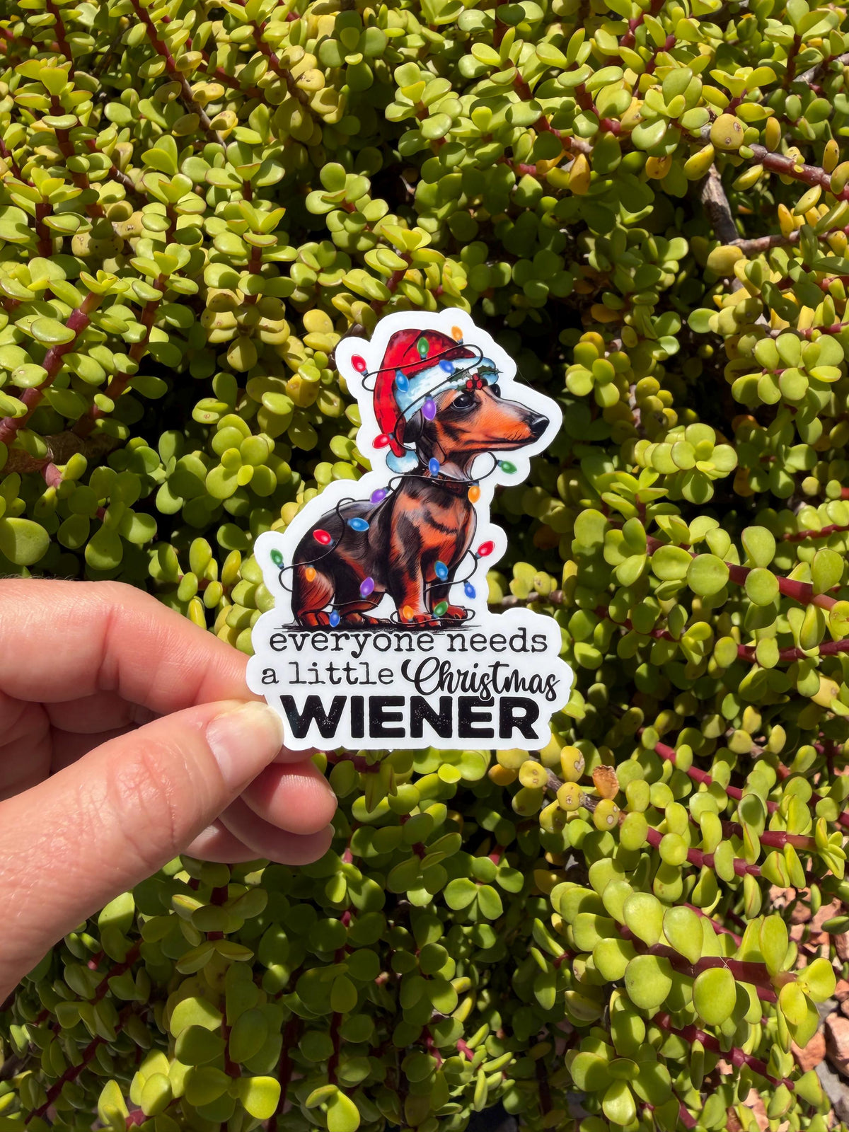 Everyone Needs a Little Christmas Wiener – Dachshund Holiday Sticker (2” or 3”) — Clear or Holographic