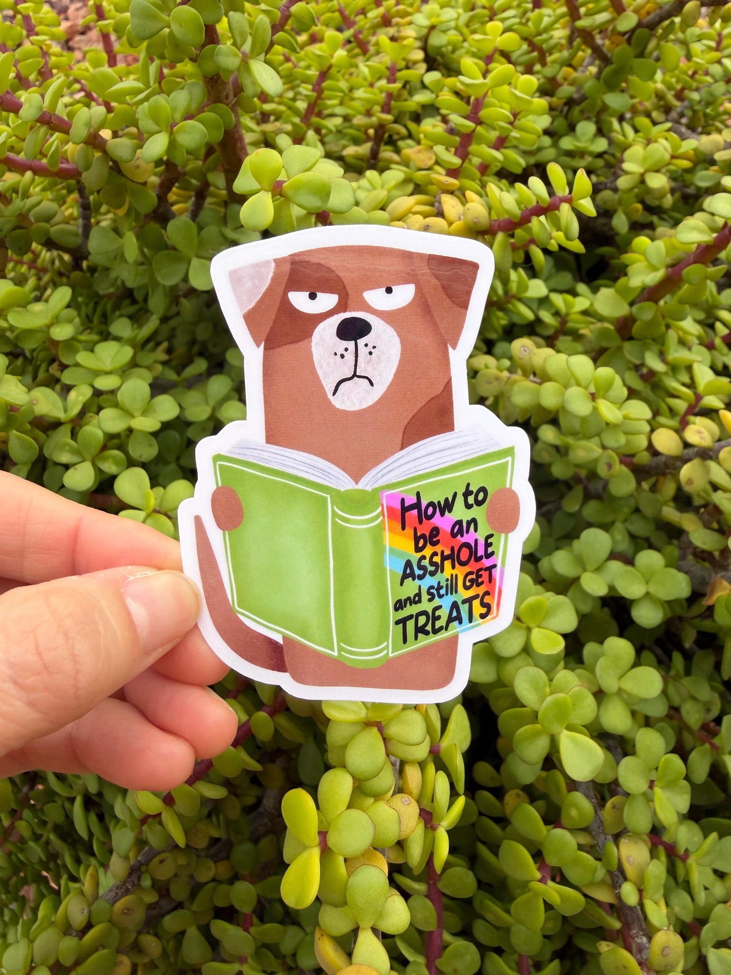 Funny Grumpy Dog Sticker | Dog Mom Humor Vinyl Decal | Pet Attitude Sticker “How to Get Treats” | Bookish Dog Lover Gift | 2” or 3”
