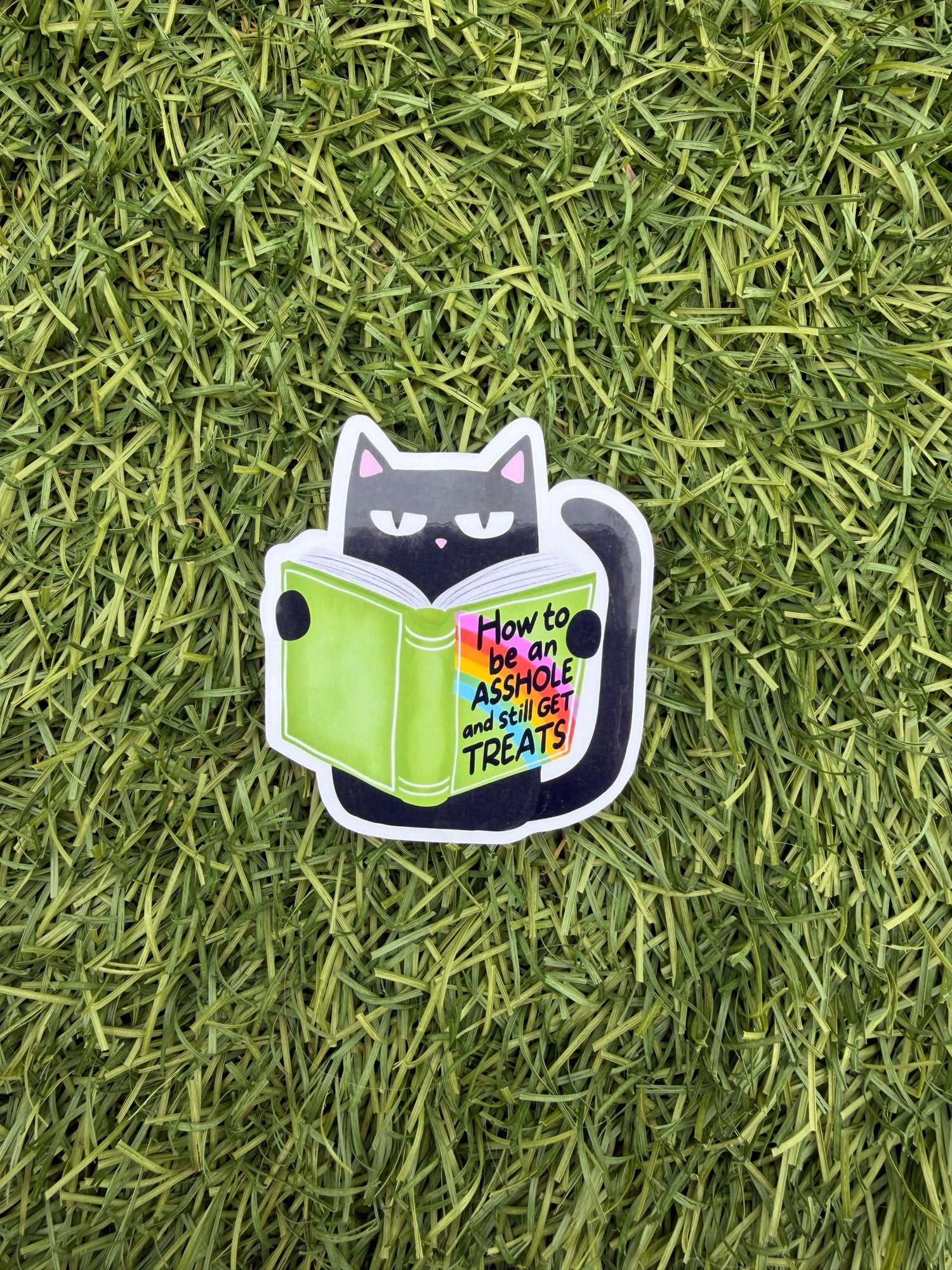 Sassy Cat Reading Sticker – “How to Be an A**hole” Pet Humor Decal | 2” or 3” | Clear Overlay | Funny Cat Lover Gift