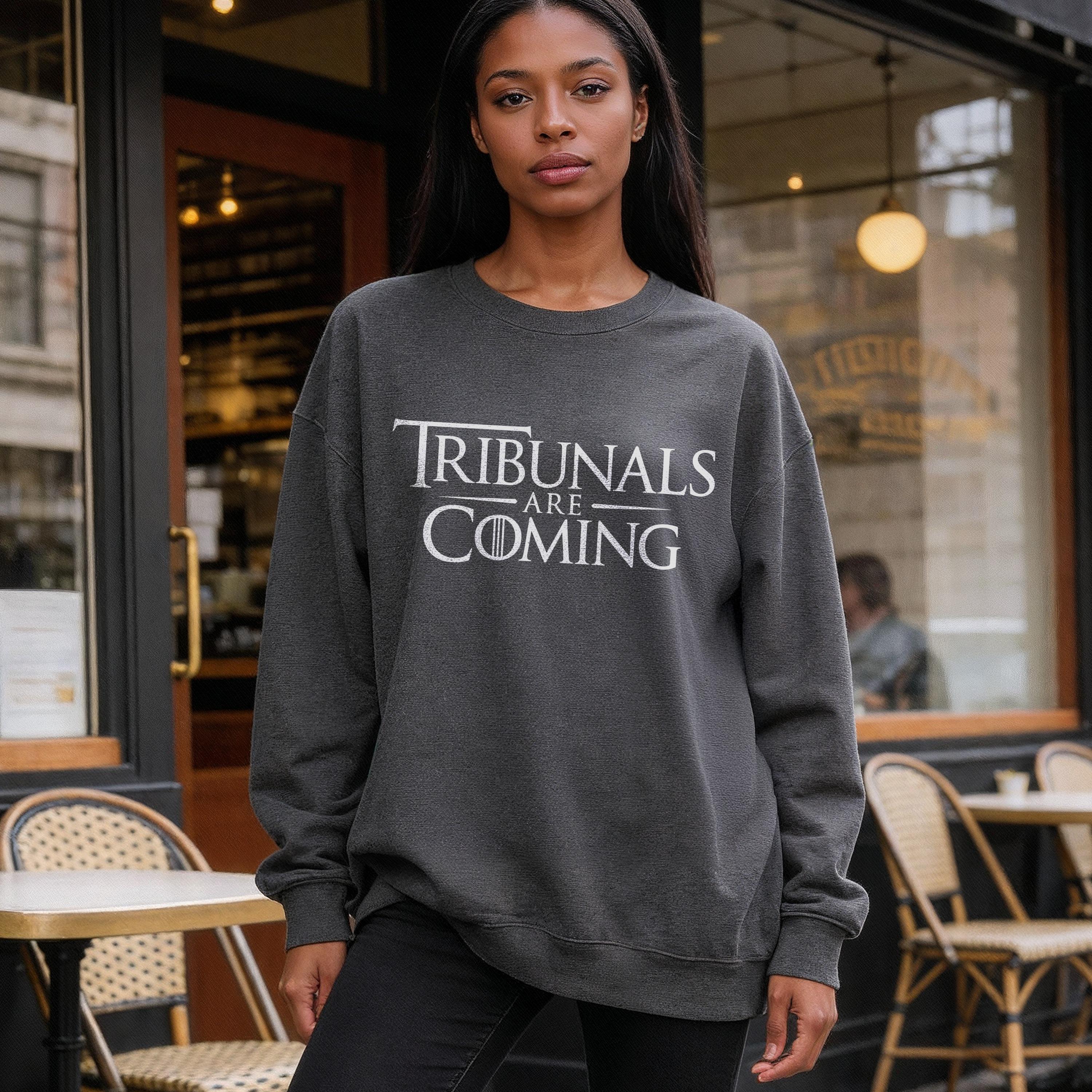 Tribunals Are Coming Sweatshirt, Game of Thrones Inspired Sweatshirt, Funny TV Show Quote Pullover, Cozy Casual Outfit