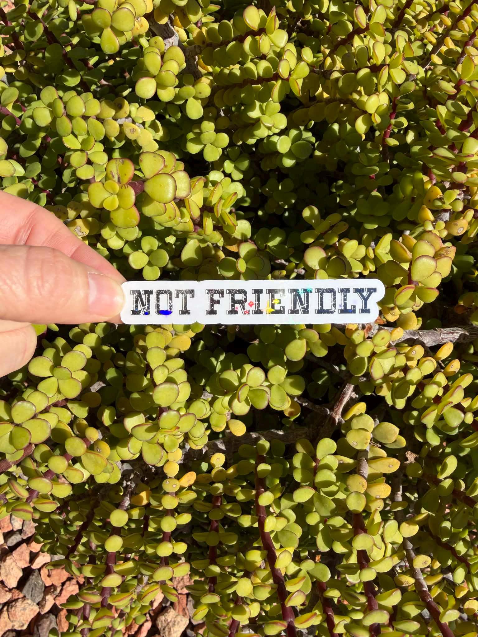 Not Friendly Sticker | Funny Introvert Sticker | Anti Social Sticker | Sarcastic Sticker | Laptop Water Bottle Decal