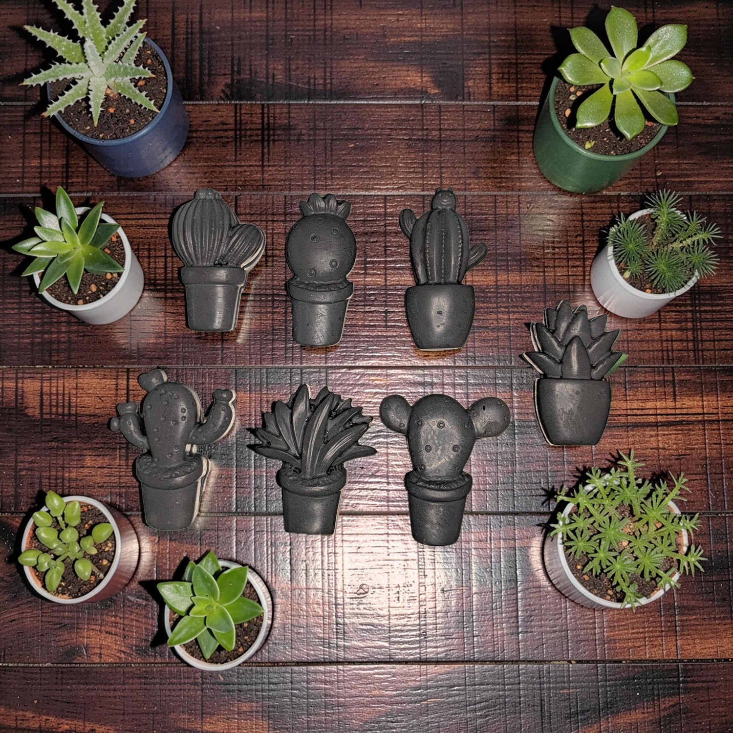 Concrete Cactus Refrigerator Magnets (Set of 7) | Succulent Fridge Magnets | Plant Lover Gift | Cute Kitchen Decor in Grey or Dark Green