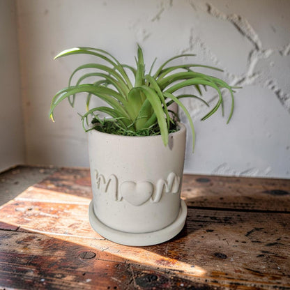 Concrete Mom Planter with Drainage Tray - Mother&amp;