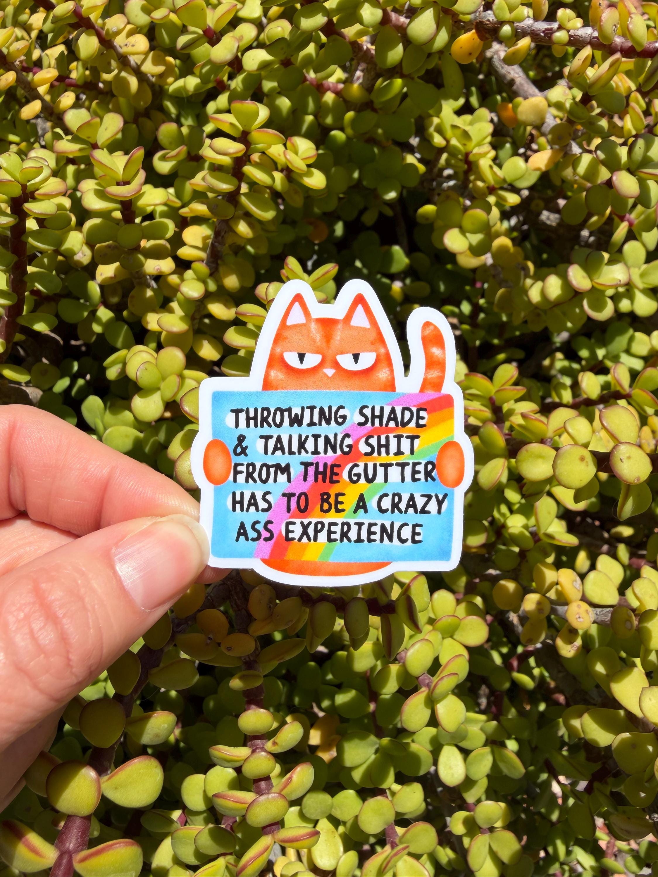 Funny Cat Sticker | Sarcastic Quote Sticker | Sassy Cat Meme Sticker | Snarky Humor Decal | 2" or 3" Clear or Holographic